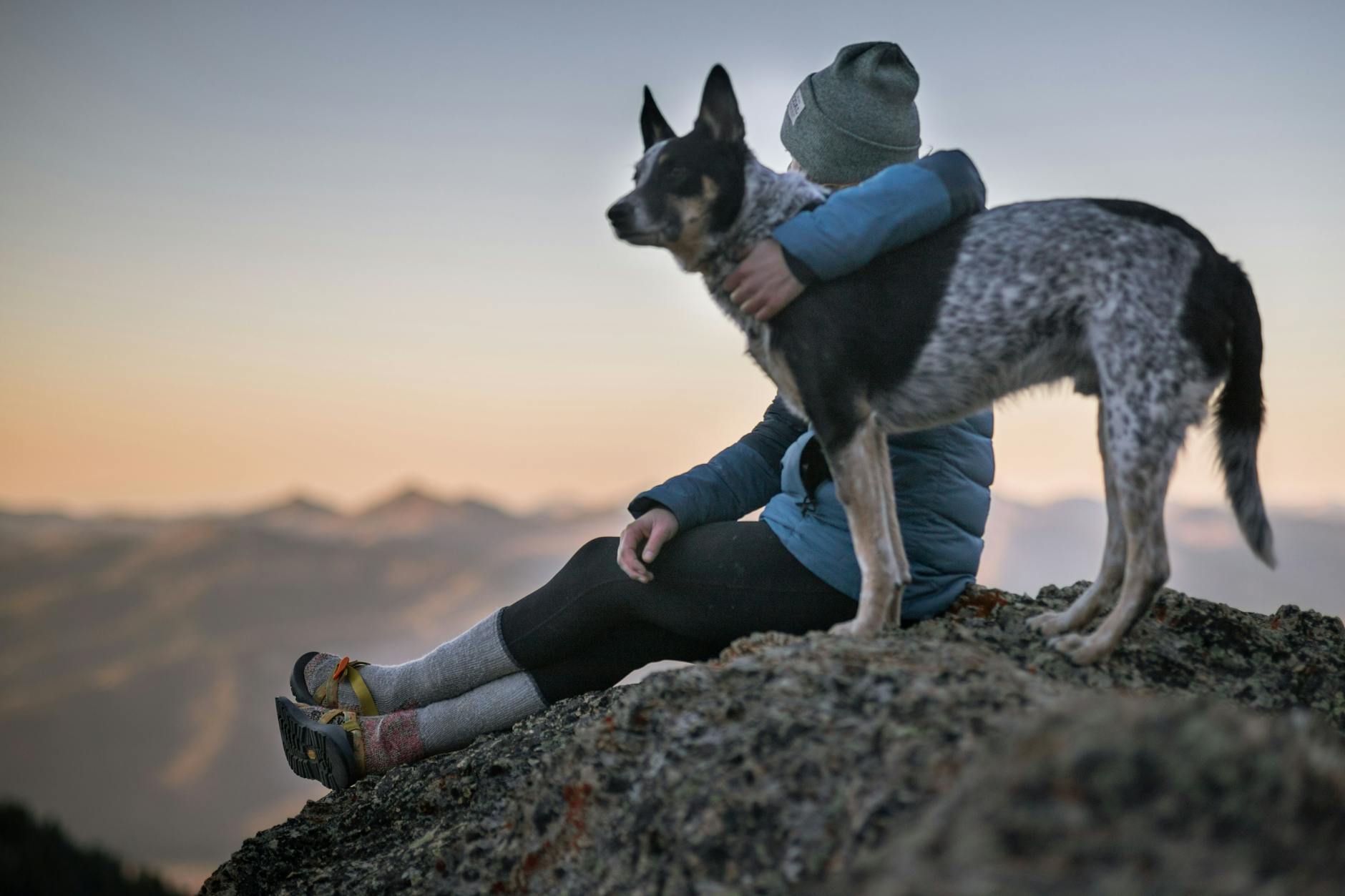 A confident adult dog with their owner after completing Journey