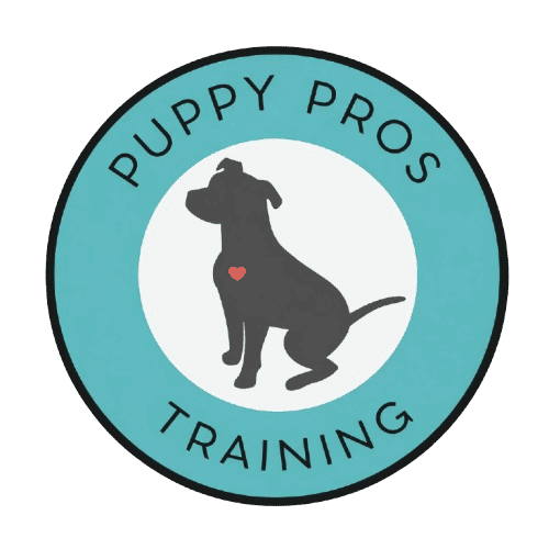 Puppy Pros Training