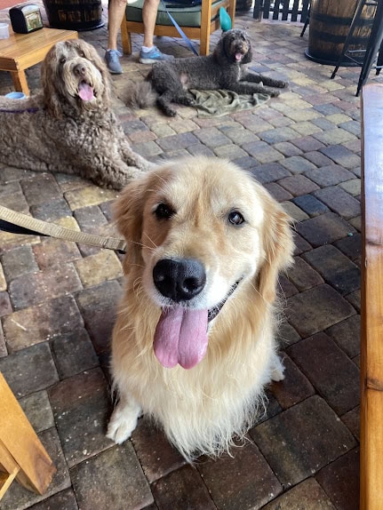 Pub Manners class graduates in Melbourne, FL
